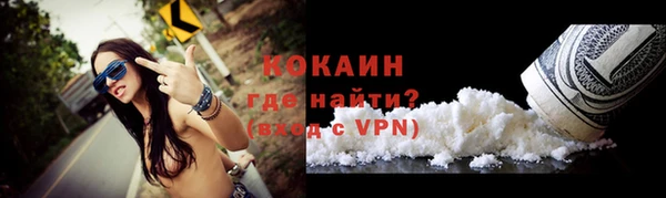 молекула духа Ельня