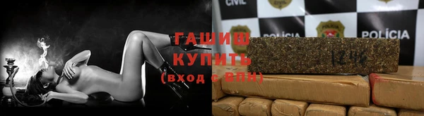 молекула духа Ельня