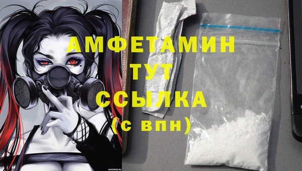 молекула духа Ельня