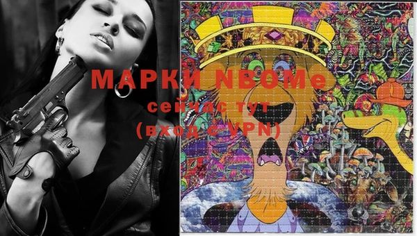 молекула духа Ельня