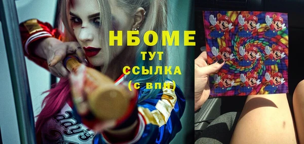 молекула духа Ельня