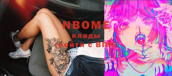 молекула духа Ельня