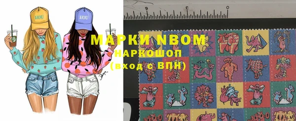 молекула духа Ельня