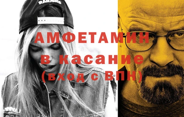 молекула духа Ельня