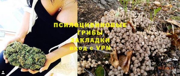 молекула духа Ельня