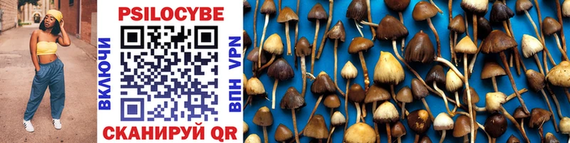 Купить где  Спас-Клепики  Псилоцибиновые грибы Psilocybe 